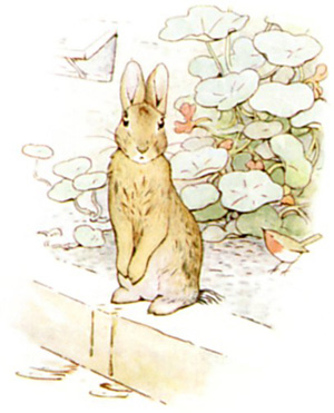 Illustration from the classic children's story The Tale Of Peter Rabbit, by Beatrix Potter