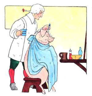 Illustration for the nursery rhyme, Barber, by Blanche Fisher Wright - from The Real Mother Goose
